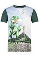 Salt and Pepper T-REX-WORLD Jungen T-Shirt Kurzarm  Grün Print-Dino-T-Rex Kinder 