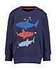 BLUE SEVEN Jungen Sweatshirt Pullover Marine Haifisch Kinder 