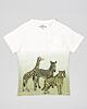 Losan Kinder T-Shirt Kurzarm Khaki Afrika-Tiere Jungen Sommer