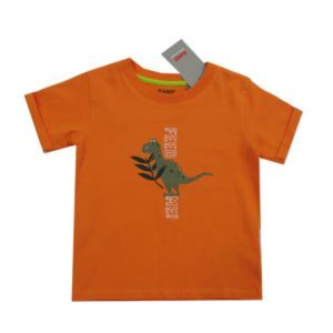 Kanz Jungen T-Shirt Kurzarm Dino Orange Baby Gr. 62