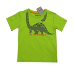 Kanz Jungen T-Shirt Kurzarm Dino Grün Baby Größe 68